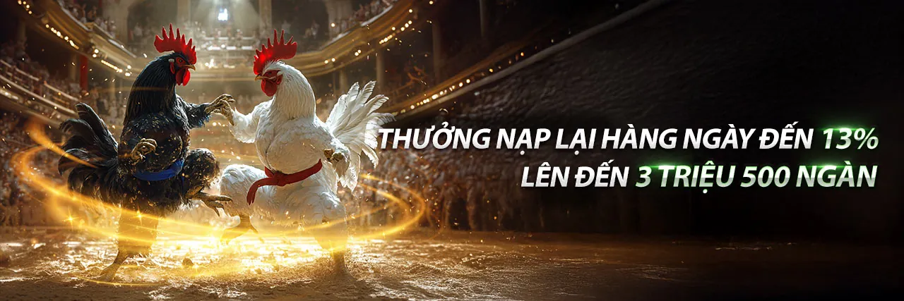 Hình ảnh chính K9WIN Link Vào 2026