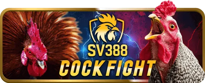 Luật chơi đá gà K9WIN